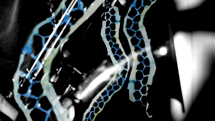 Sequence 18_5 on Vimeo