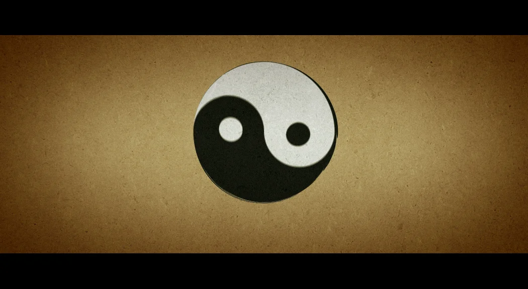 kung fu panda ying yang