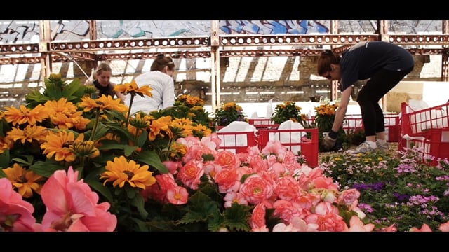 Andrea Rasca - Mercato Metropolitano Case Study on Vimeo