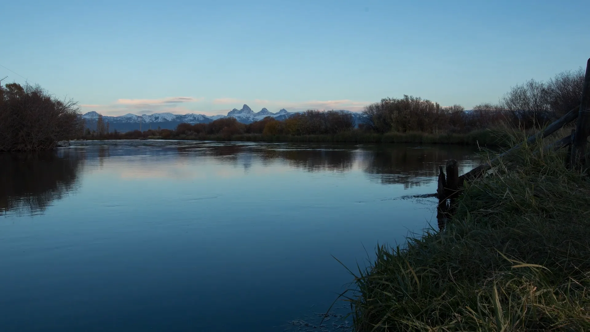 Sandhill Cranes in Teton Valley