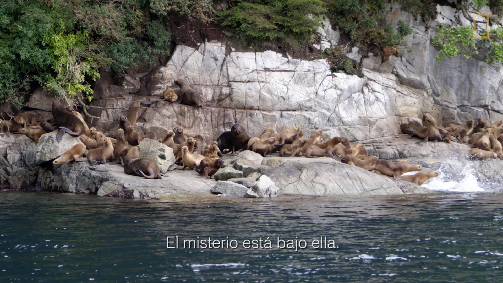 Cabo de Horno/Pristine Seas