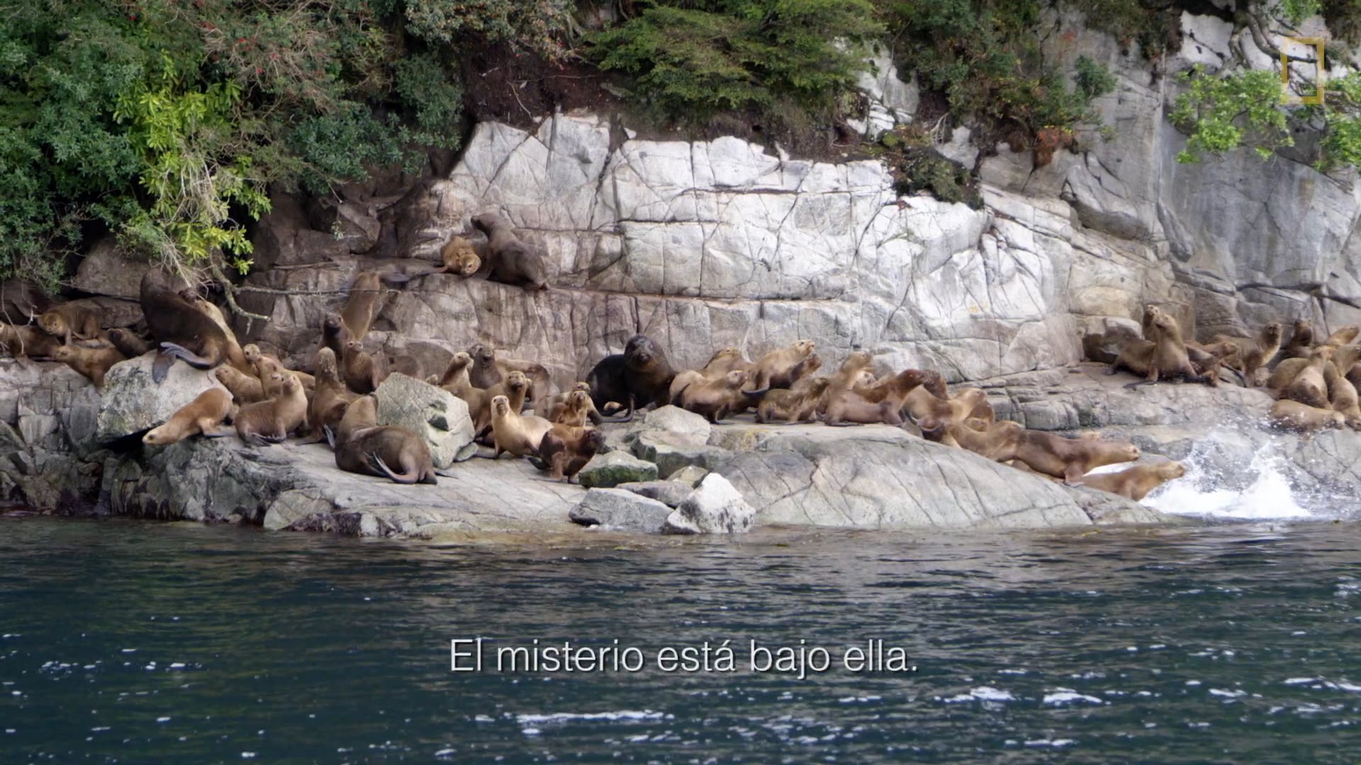 Cabo de Horno | Pristine Seas