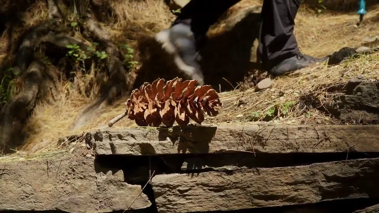 Himachal Parvati Valley- Tosh Valley Trek & Animal Pass on Vimeo