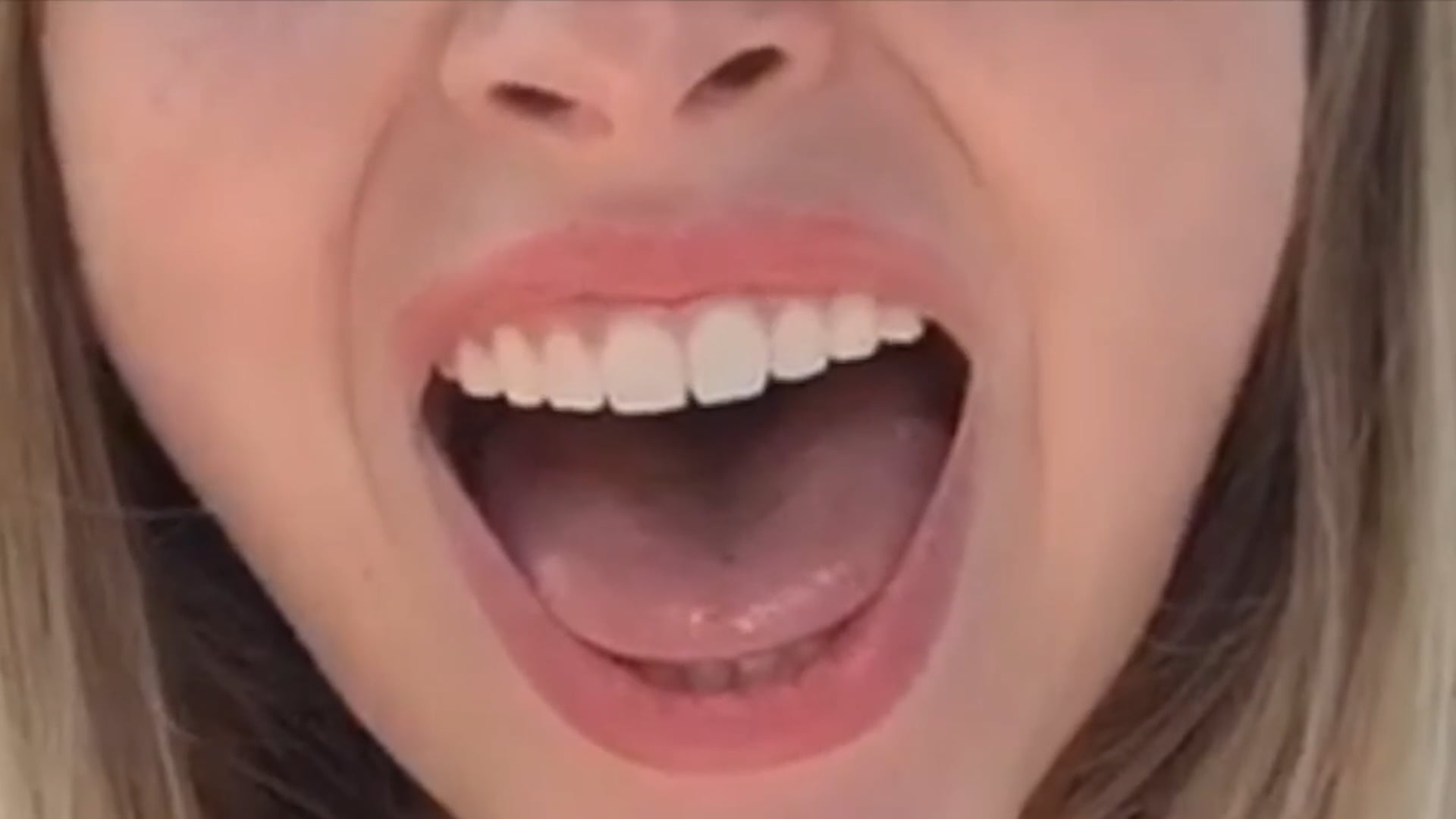 Entirely of Flaws