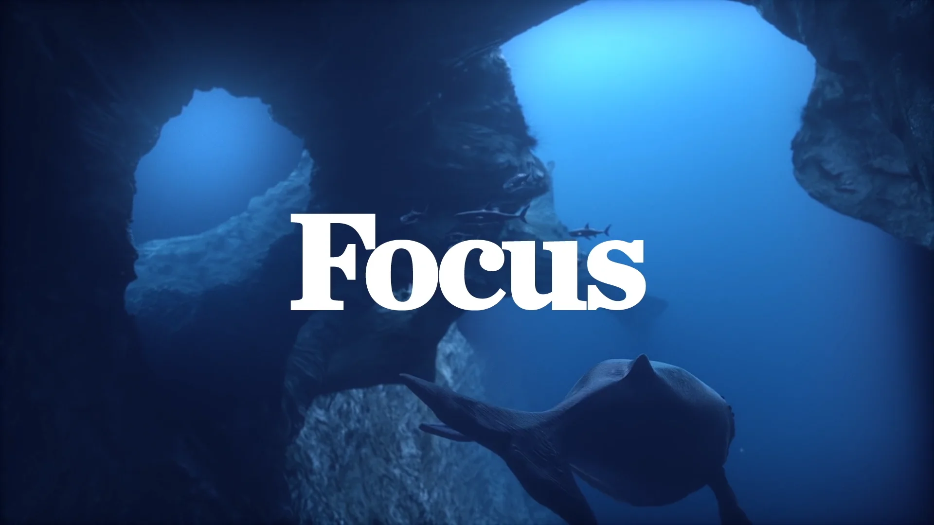 FOCUS /// channel ID 2017 on Vimeo