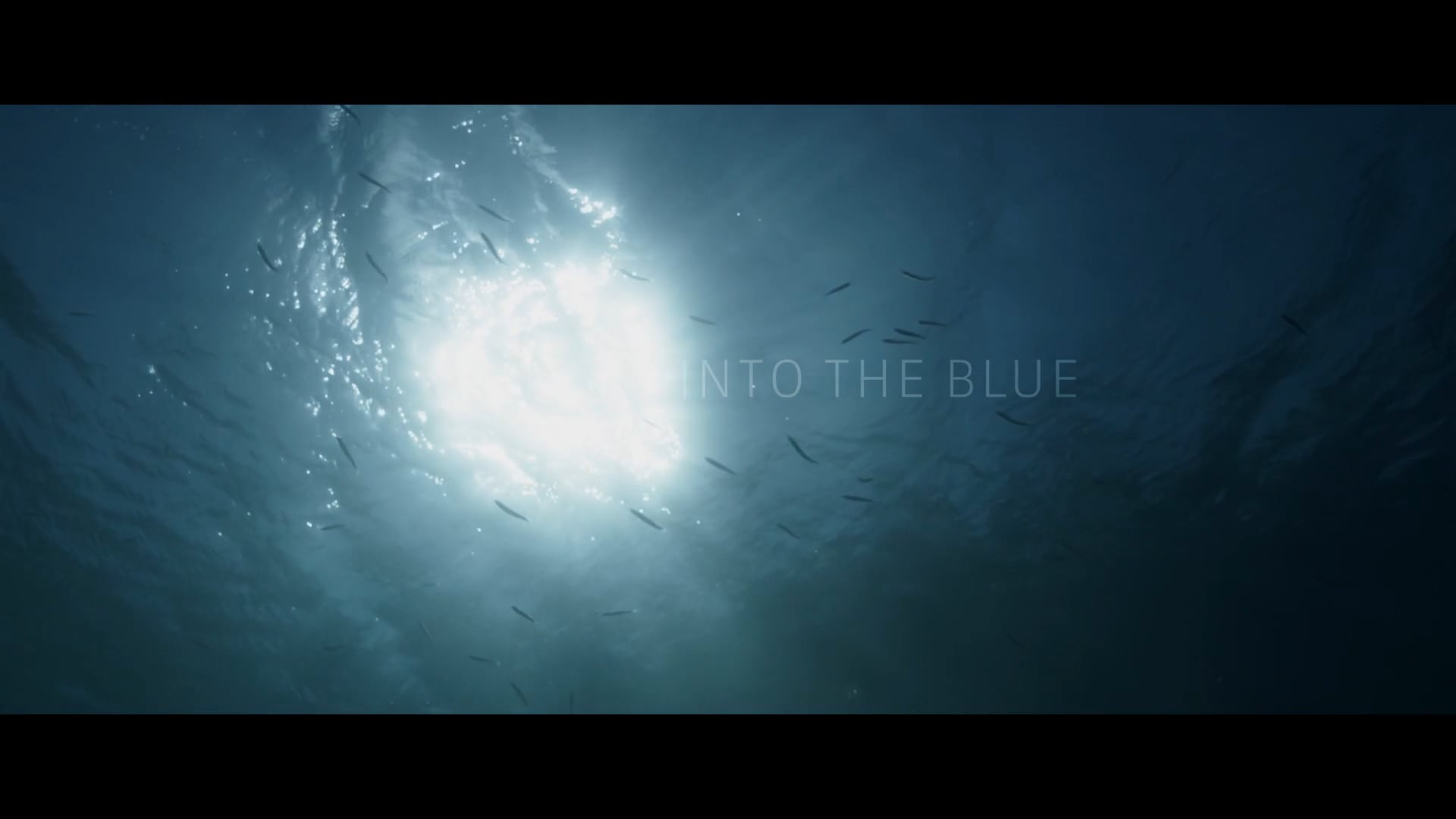 Into The  Blue / U Plavetnilo - trailer