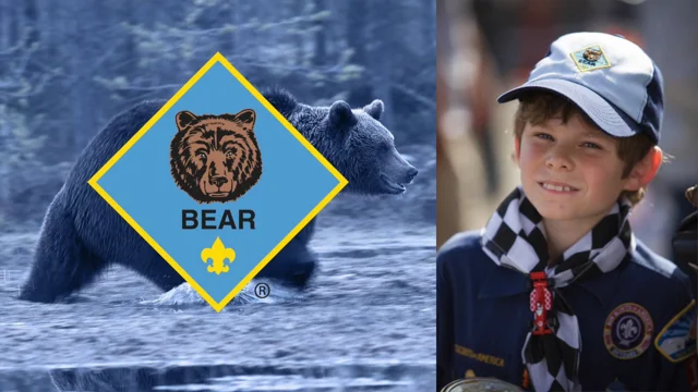 Bear Cub Scout Uniform