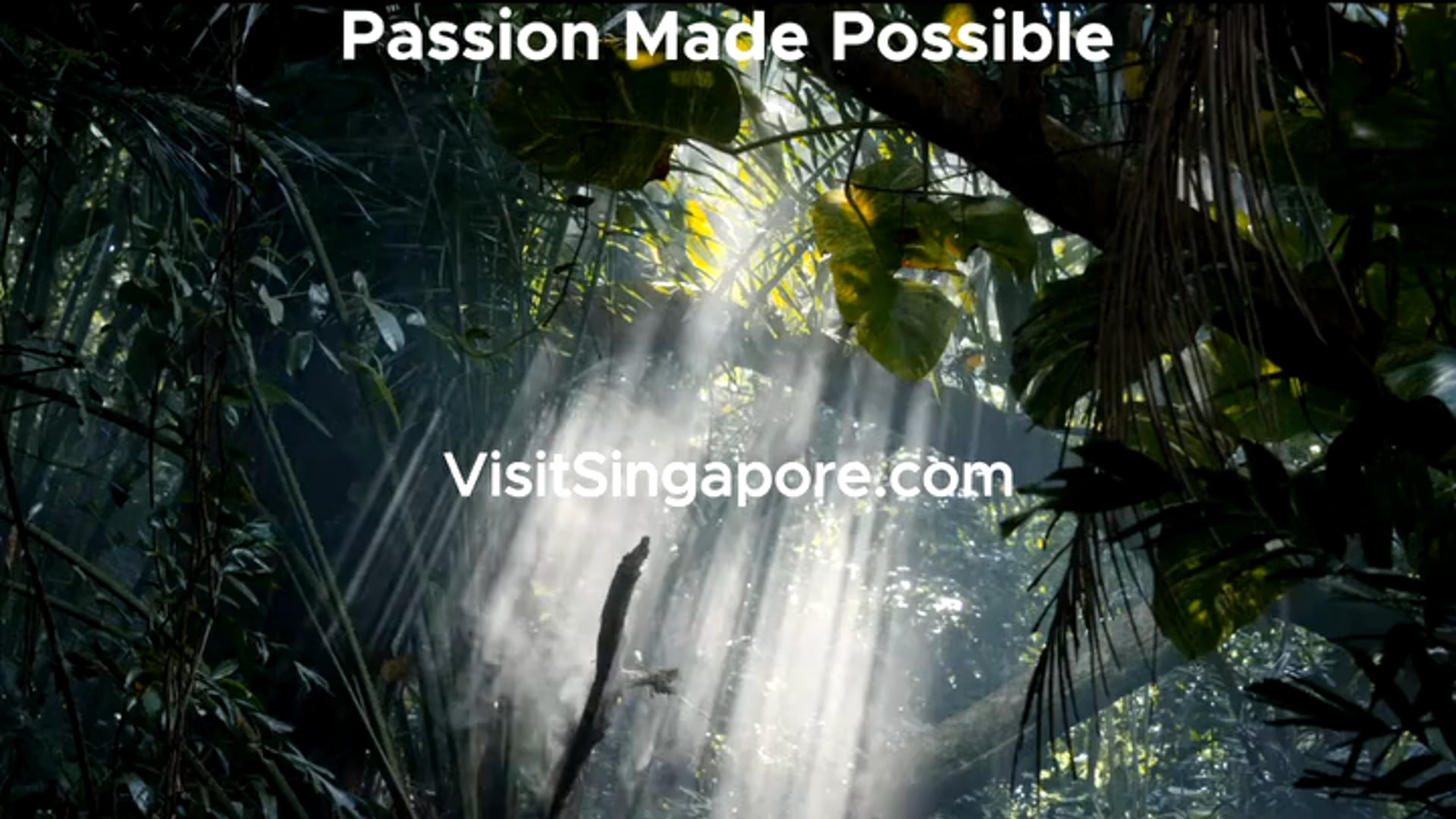 Singapore Tourist video 15 sec