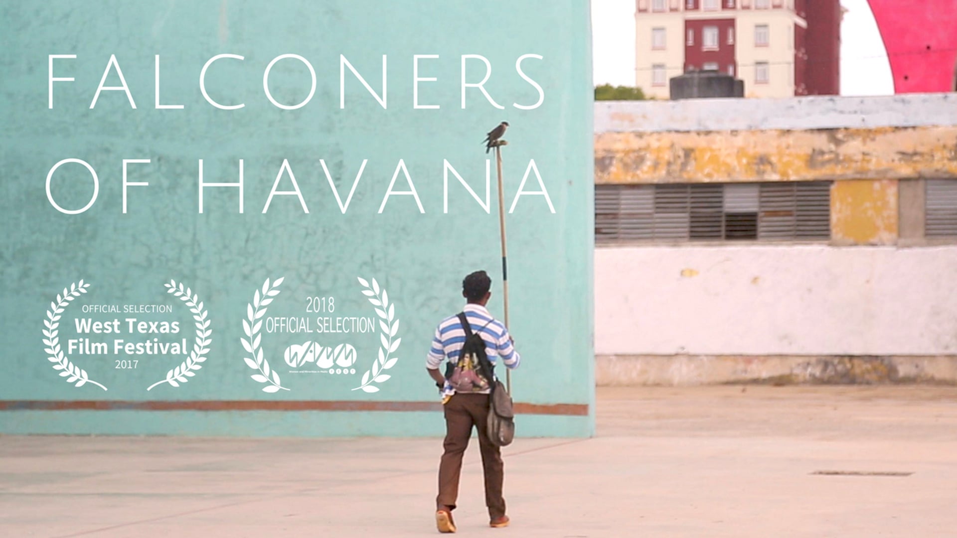 Halconeros de La Habana | Falconers of Havana