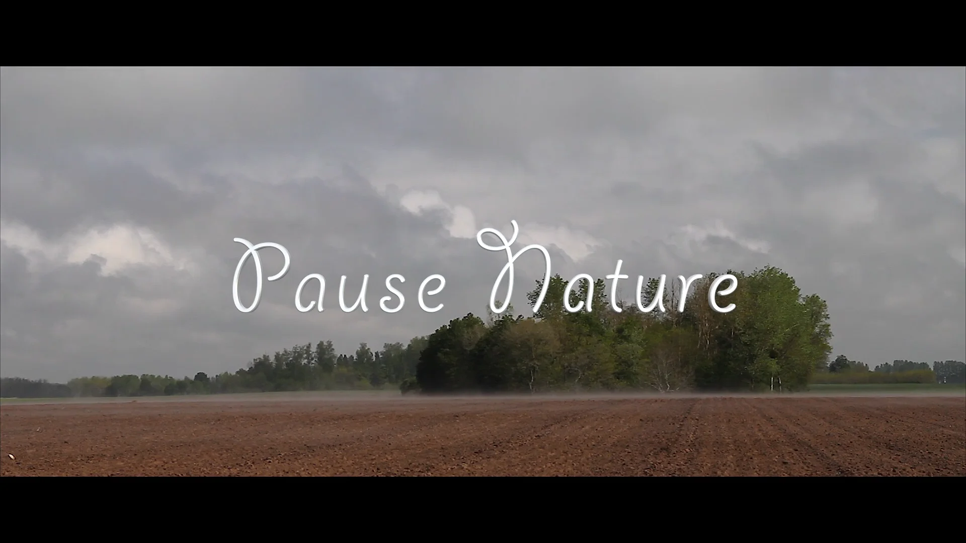Pause Nature on Vimeo