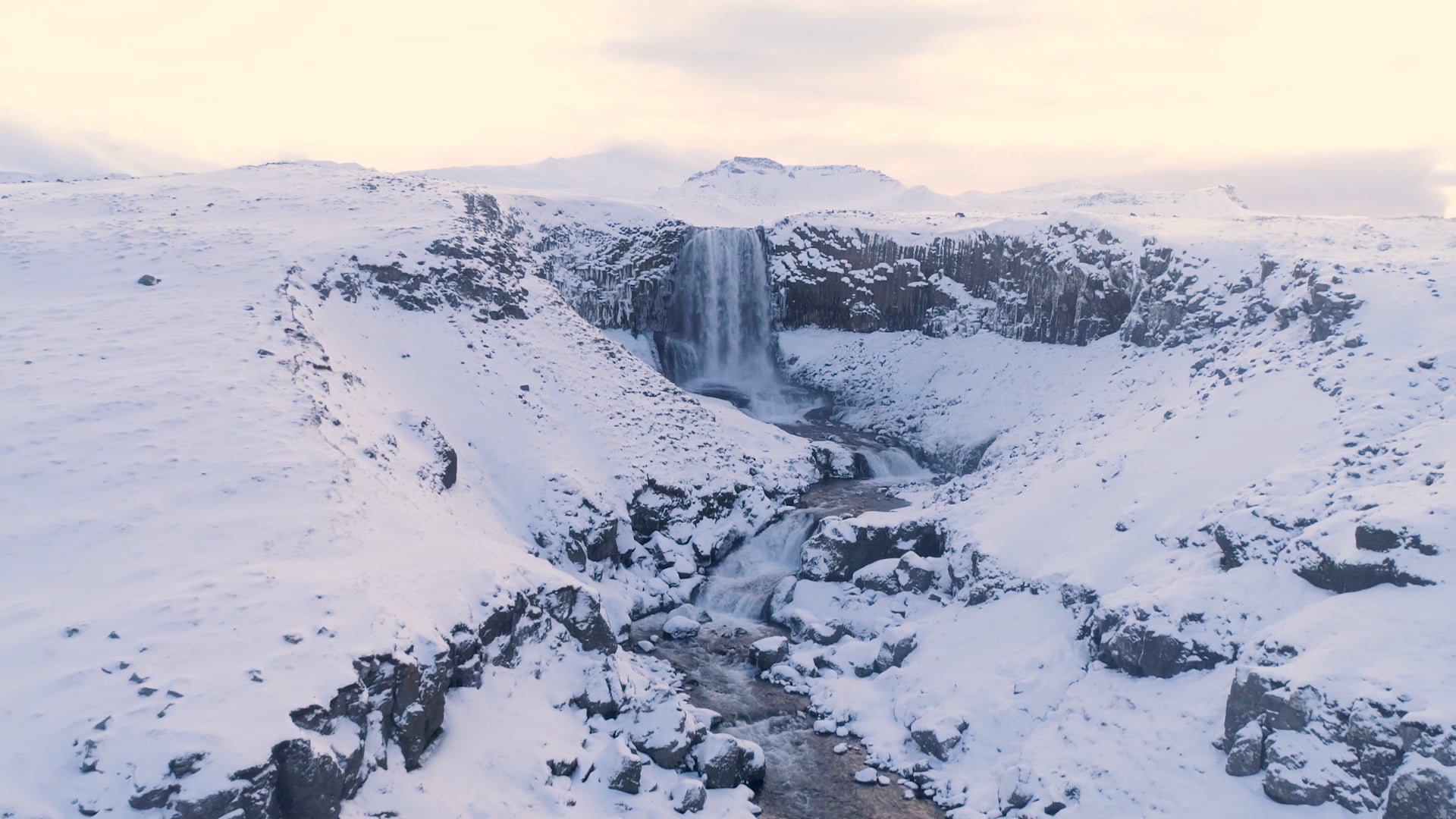 Local Guide Iceland