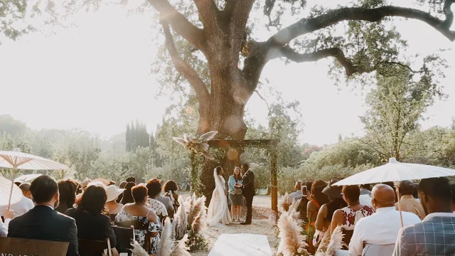 A Cultural, Garden-Inspired Wedding in California