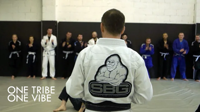 SBG Athletes Medal at IBJJF World Competition – Gorilla Booster Club