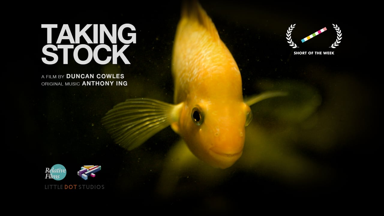 Screenshot of Taking Stock (2017)