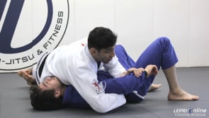 Worm Guard Prevention and Pass