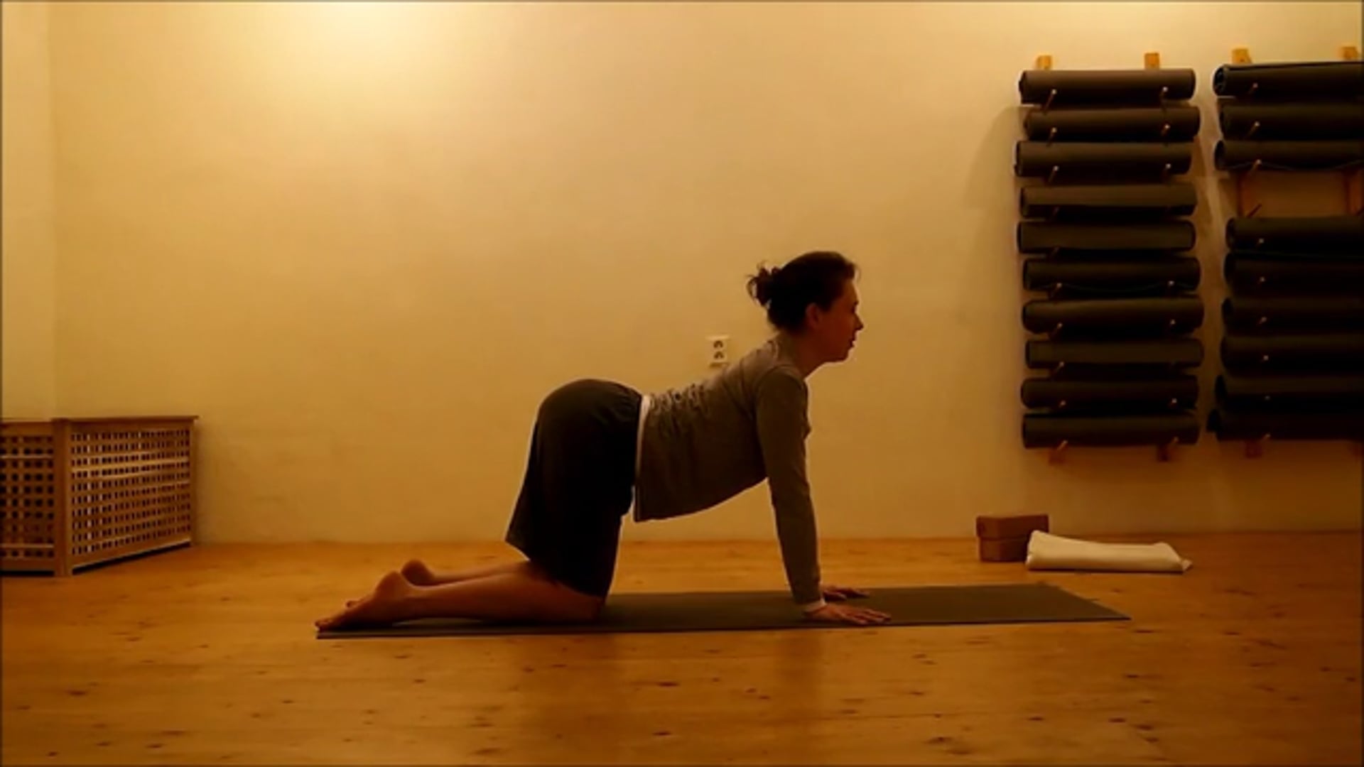 volná lekce vinjása jógy s Veronikou Švecovou - pro občerstvení těla a dechu