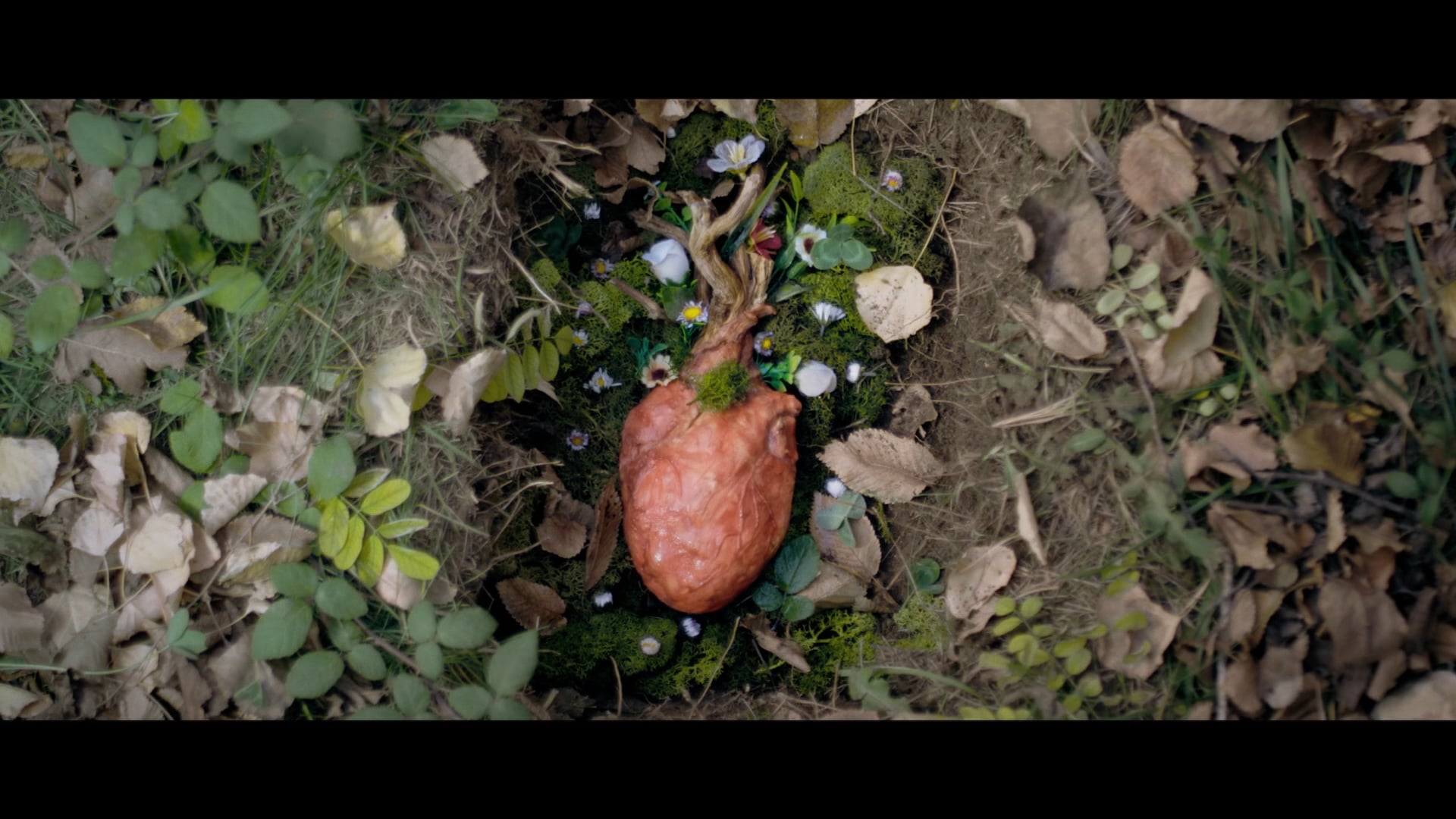 MAILERS - Aire Frío OFFICIAL VIDEO