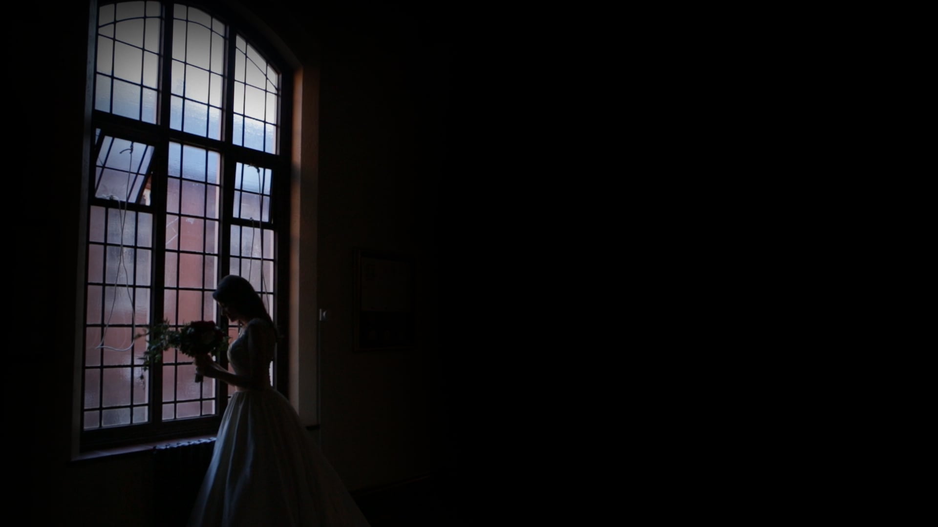 Promotional video thumbnail 1 for Life Lens Wedding Videography