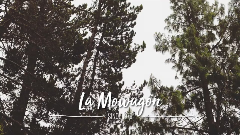 MOWAG'S PATAGONIAN KITCHEN