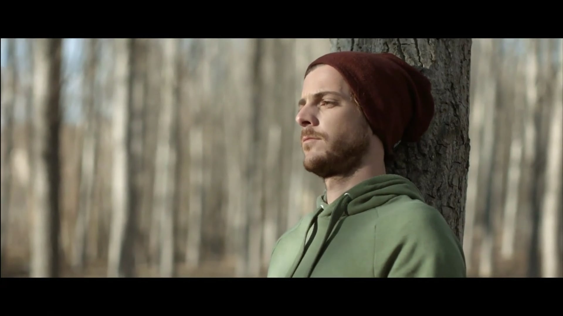 Cicatrices | Miguel Aguirre