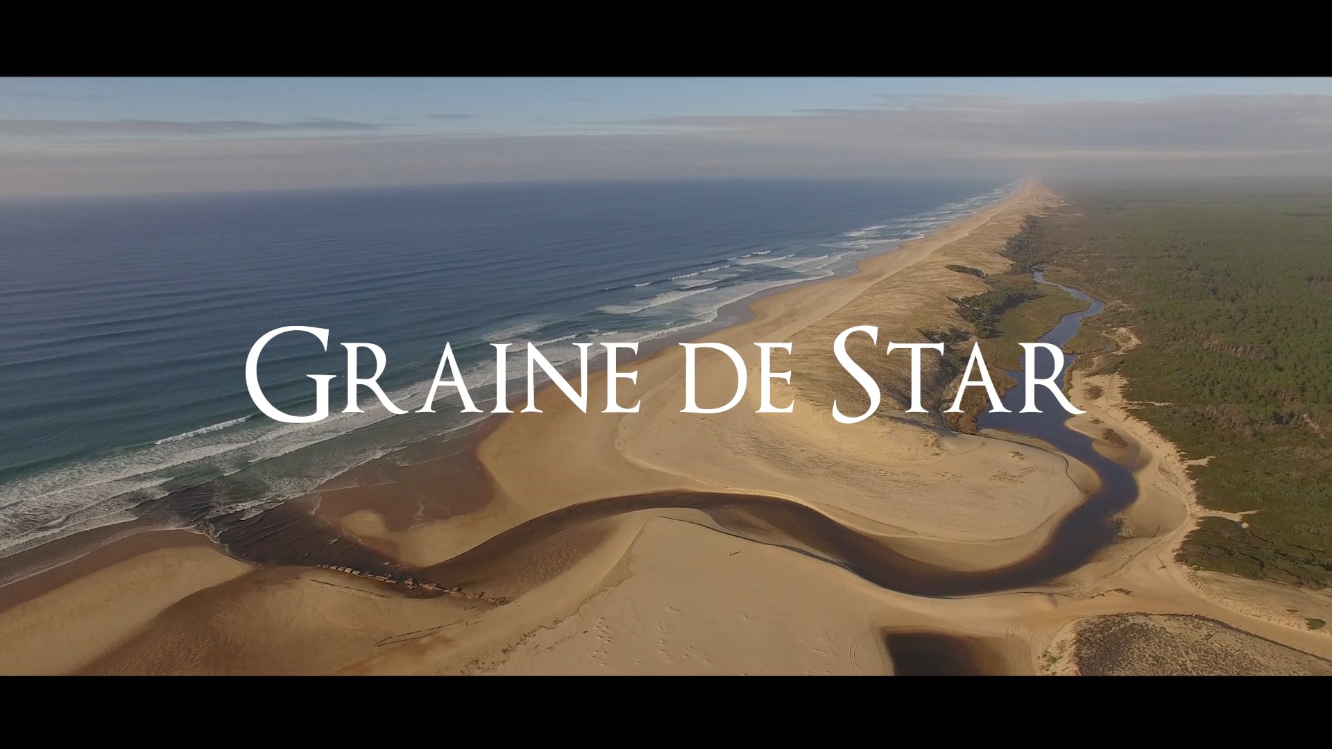Graine de Star
