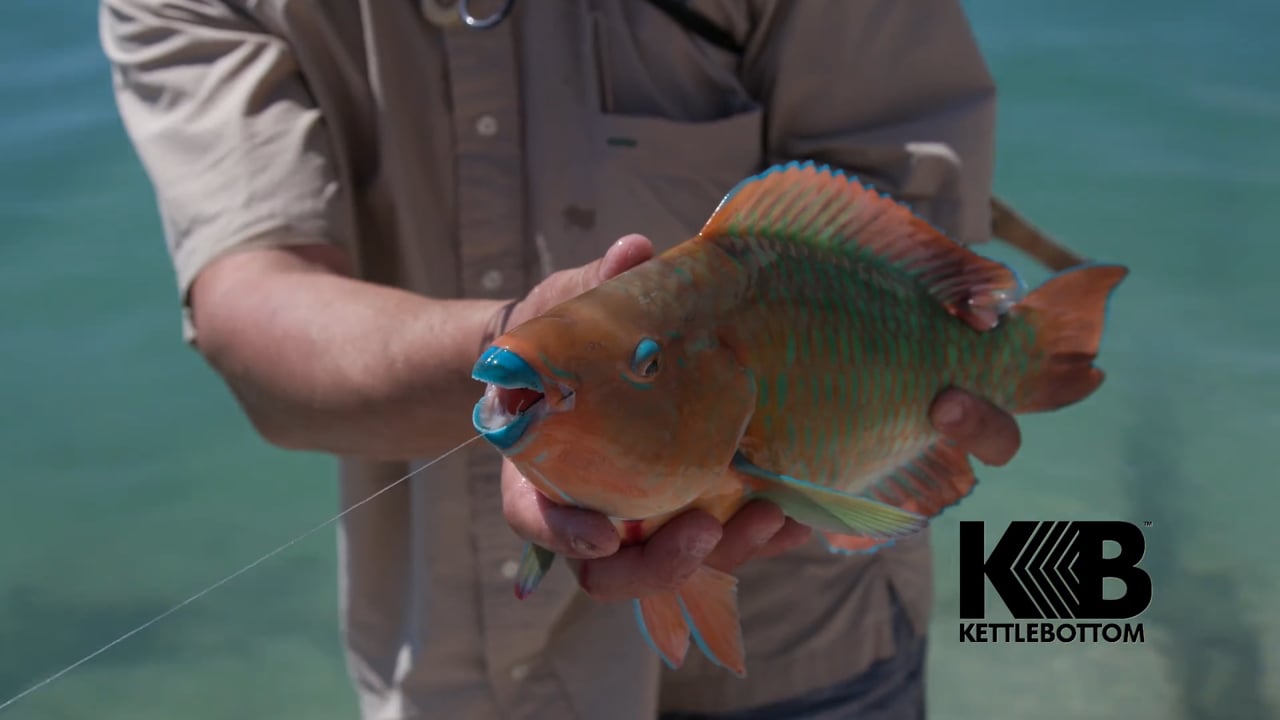 Kettlebottom Fishing Reel