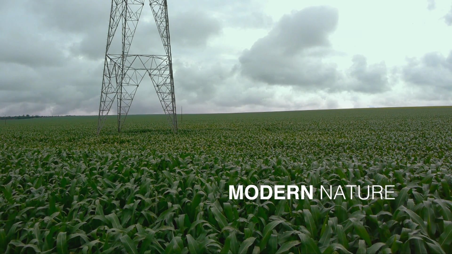 MODERN NATURE (Trailer 2)