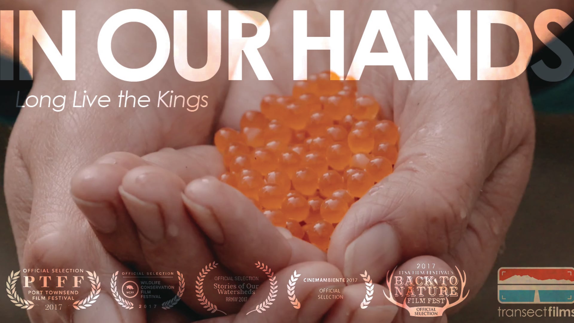 Long Live the Kings - In Our Hands