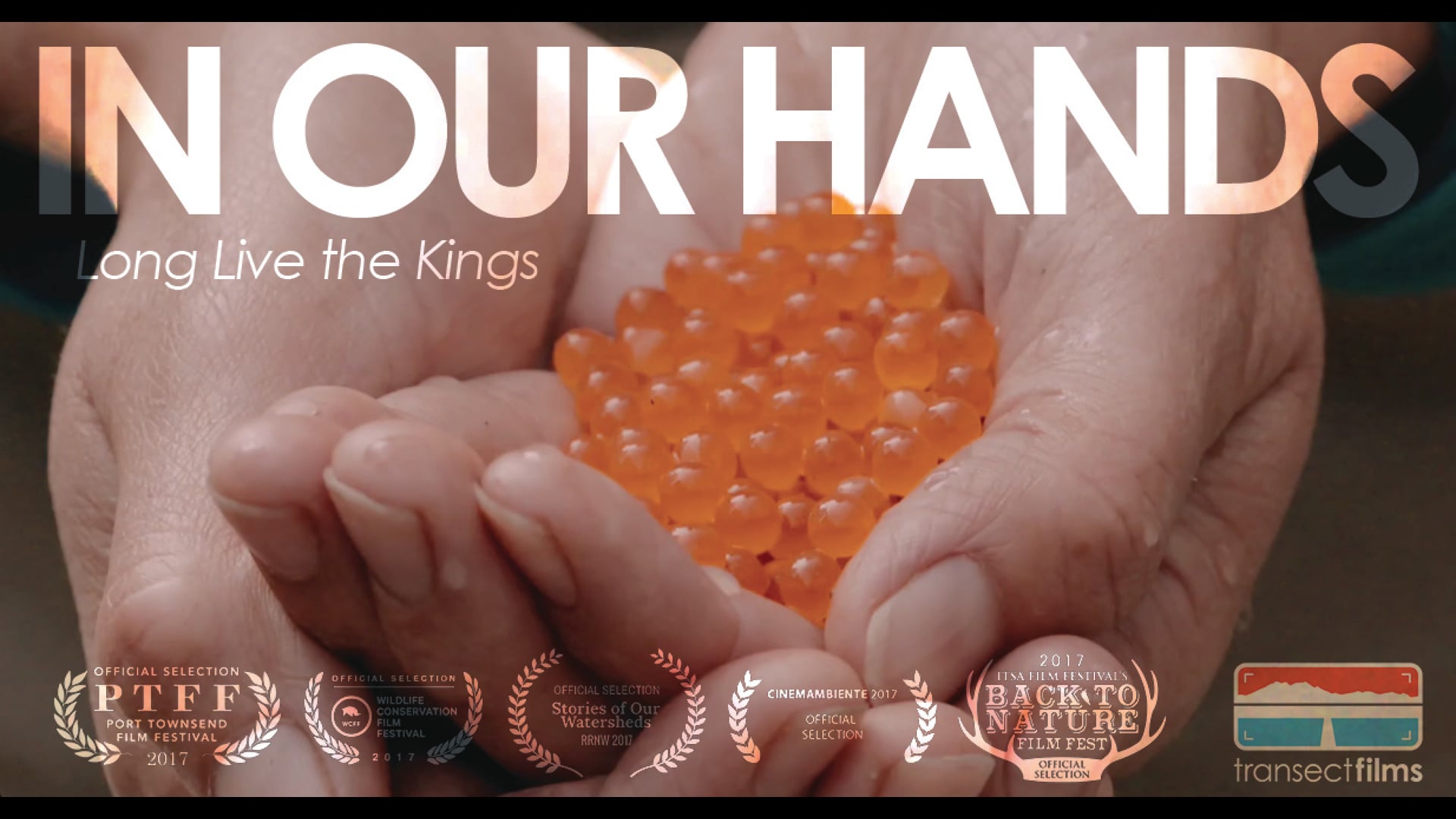 Long Live the Kings - In Our Hands