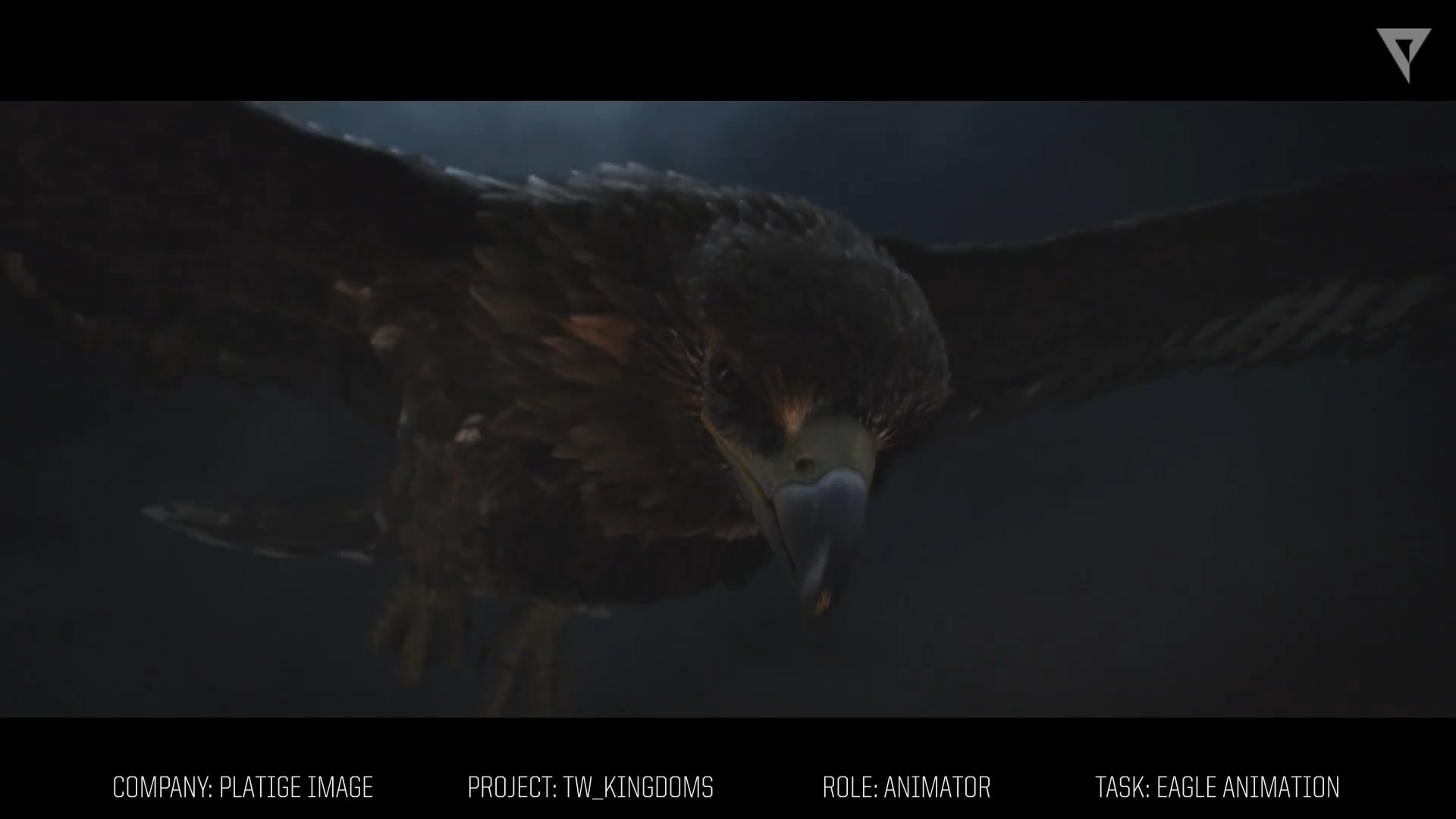 Eagle On Vimeo