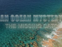 An Ocean Mystery: The Missing Catch