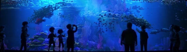 Disney - Customer Success Story
