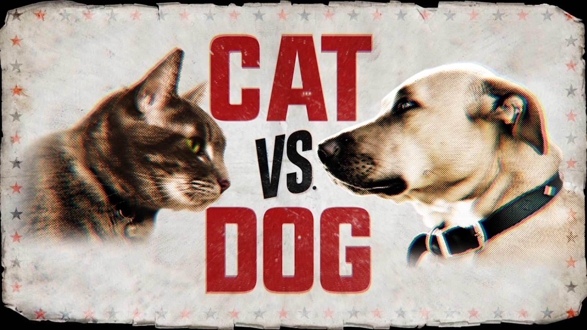 CAT VS. DOG