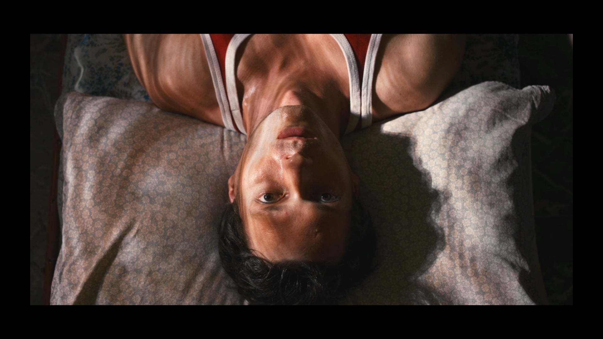 IL COMPLOTTISTA // Official trailer