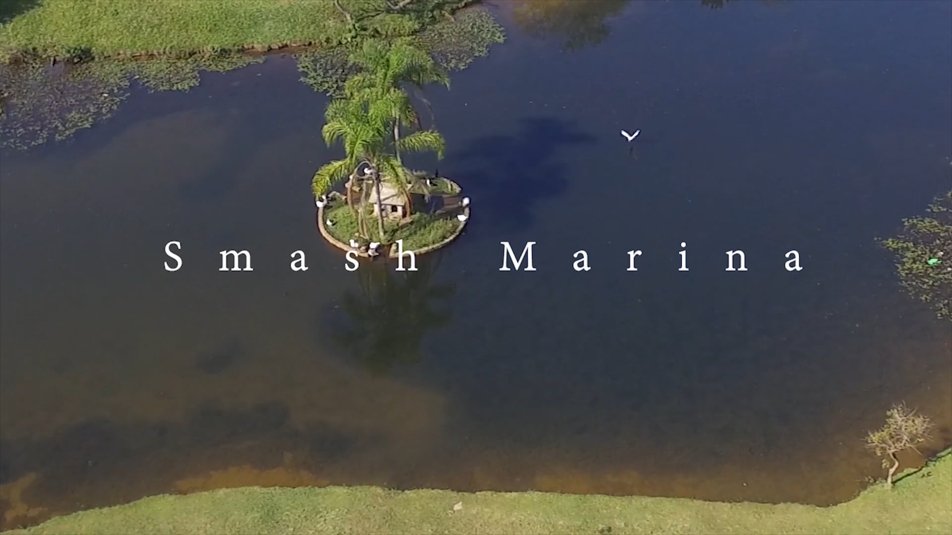 Smash the cake Marina