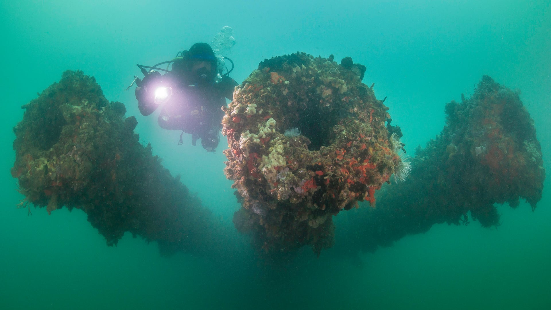 Diving USS Arizona