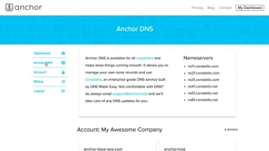 Overview of Anchor DNS