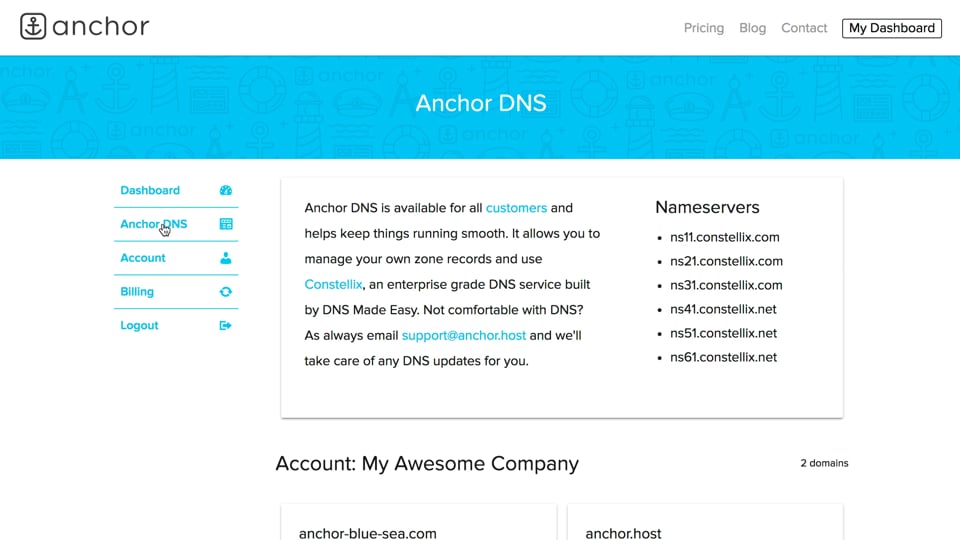 Overview of Anchor DNS