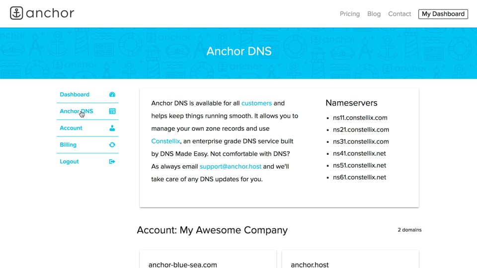 Overview of Anchor DNS