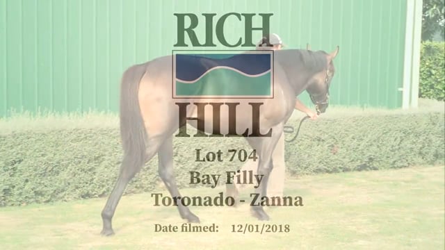 Lot 704