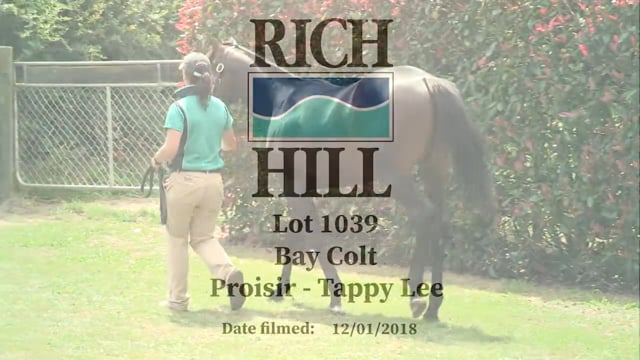 Lot 1039