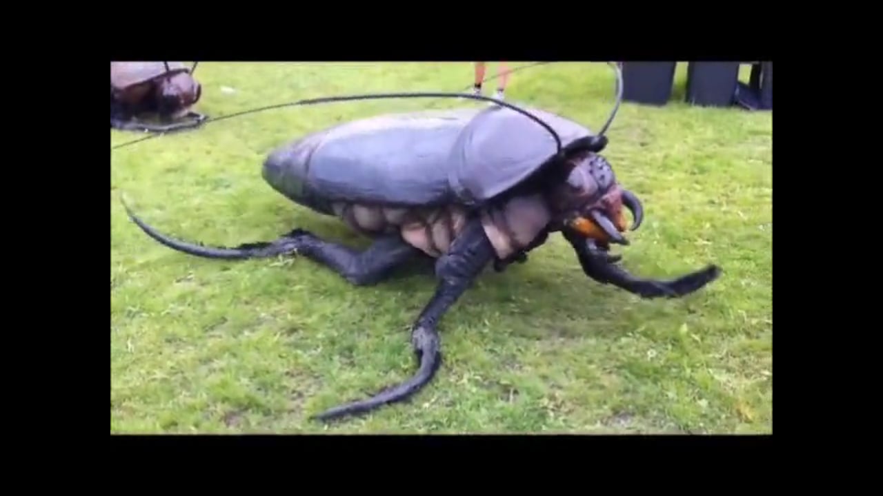 Big Bugs ShowReel