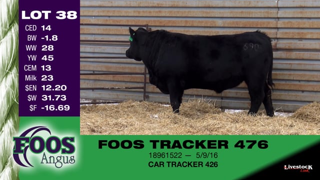 Lot #38 - FOOS TRACKER 476