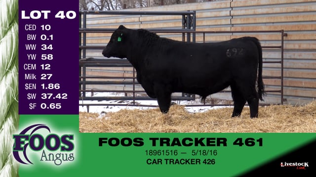 Lot #40 - FOOS TRACKER 461