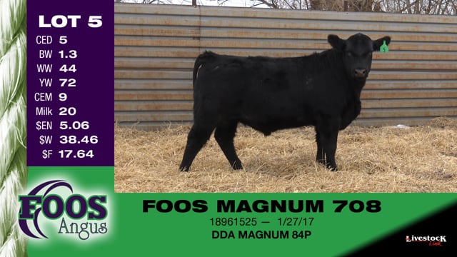 Lot #5 - FOOS MAGNUM 708