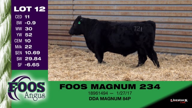 Lot #12 - FOOS MAGNUM 234