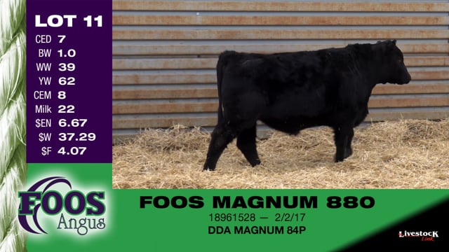 Lot #11 - FOOS MAGNUM 880