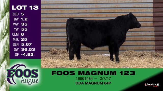 Lot #13 - FOOS MAGNUM 123