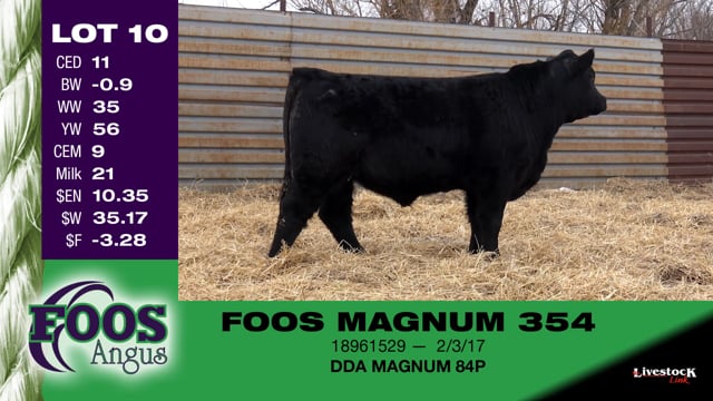 Lot #10 - FOOS MAGNUM 354