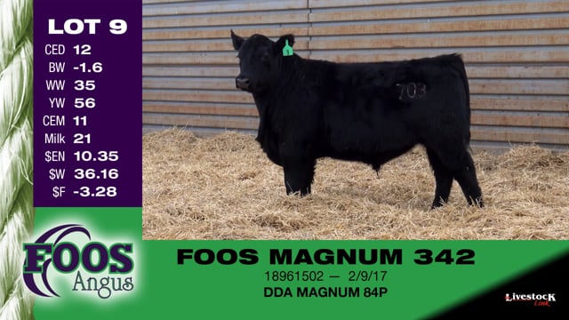 Lot #9 - FOOS MAGNUM 342
